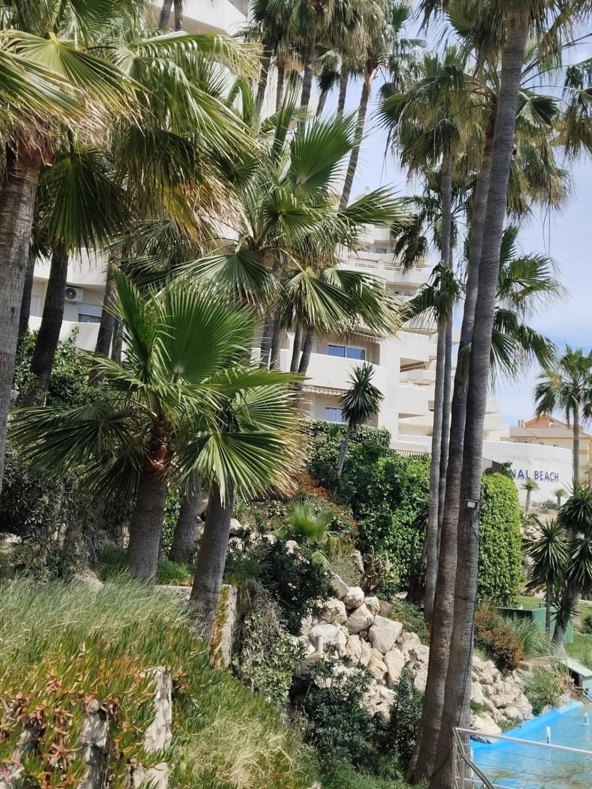 Beachfront Apartment